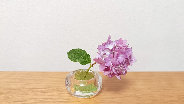 紫陽花を生けてみた(芝)