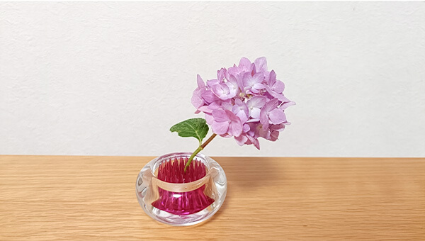 紫陽花を生けてみた(華)