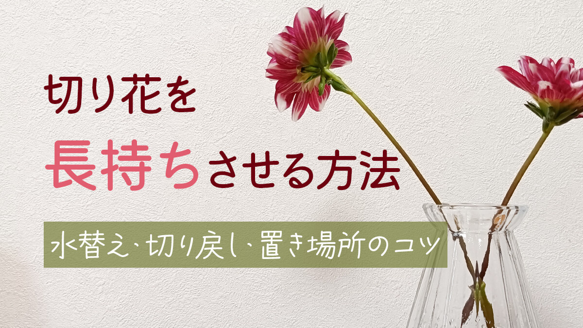 切り花を長持ちさせる方法