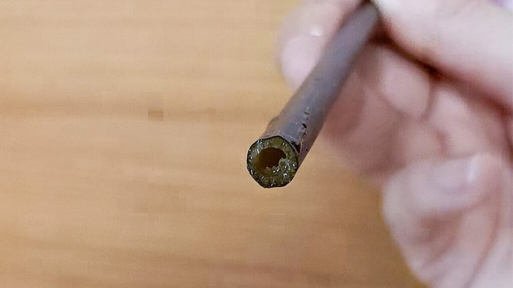 5.茎を切り戻す