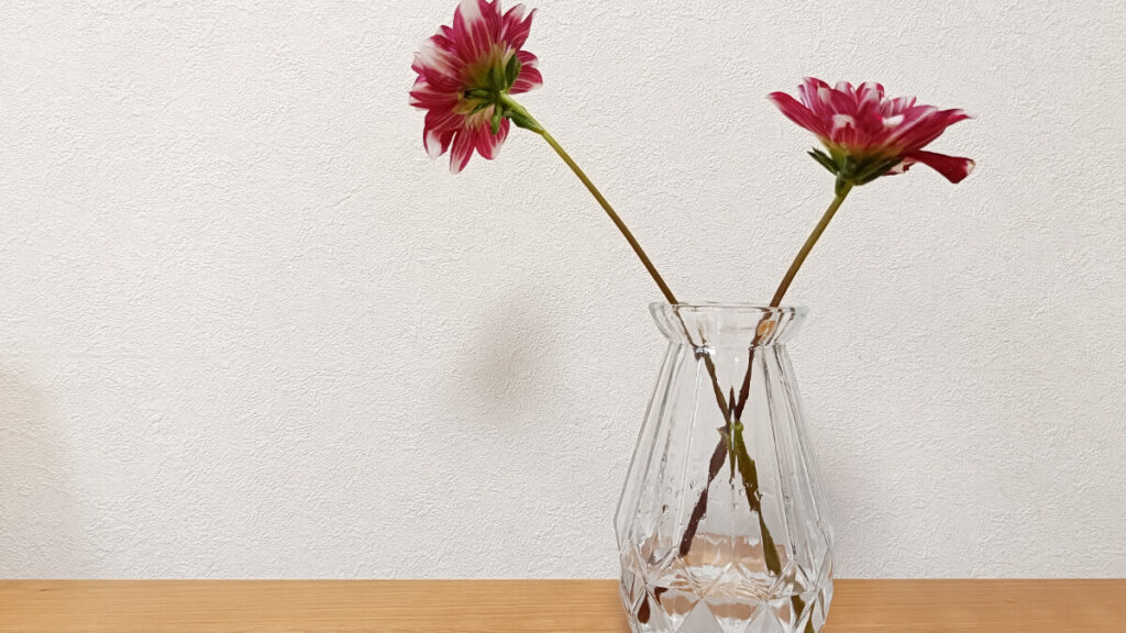 切り花を長持ちさせる7つの方法