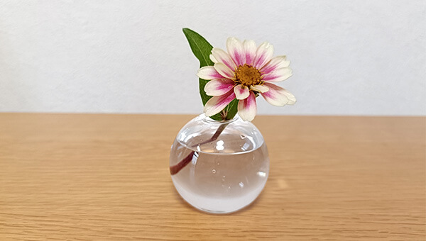 1輪挿し①-2