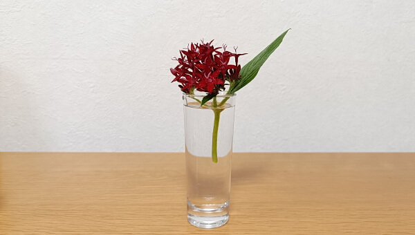1輪挿し③-2